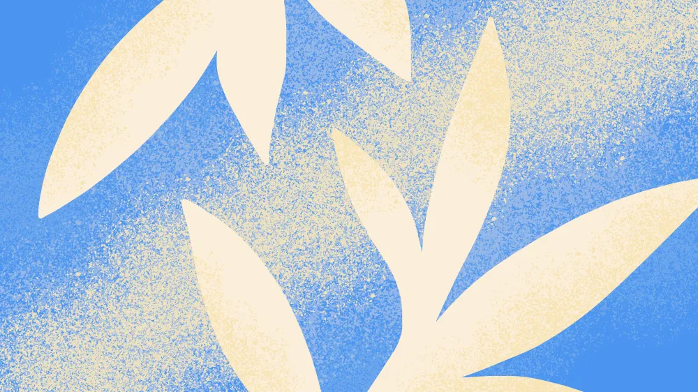 The Art of Noticing Small Details That Most People Often Overlook