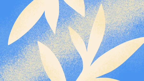 The Art of Noticing Small Details That Most People Often Overlook
